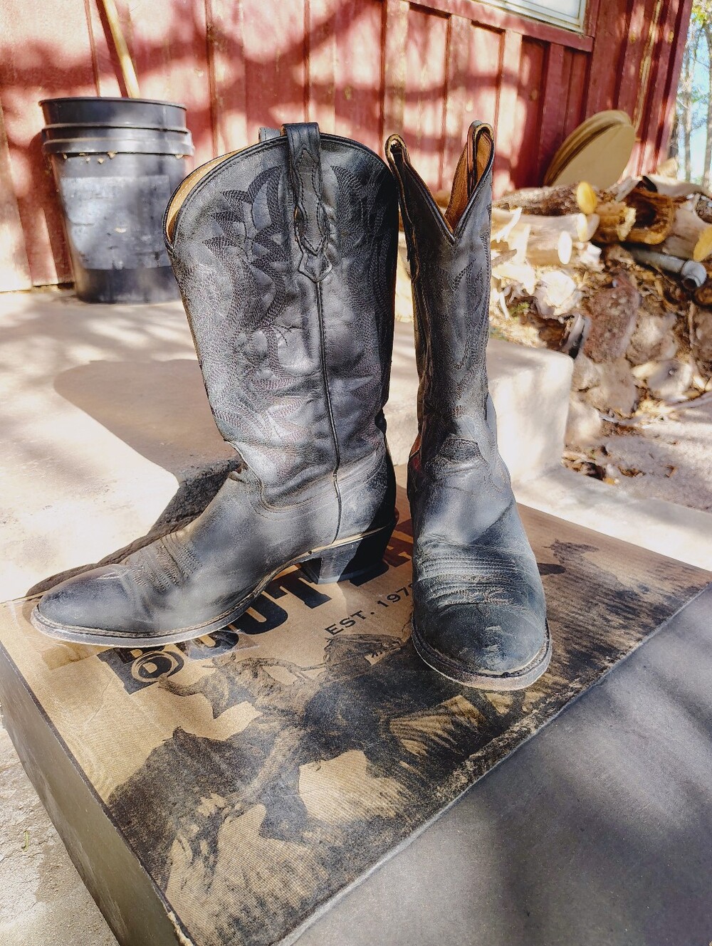 Shyanne Women's Raven Western Cowboy/Cowgirl Boots - Black, Round Toe